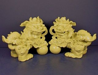 Pair Vintage Chinese Dehua Blanc De Chine Porcelain Foo Dog Figurines