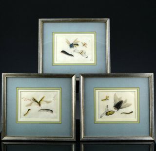 3 Fine Antique Chinese Qing Dynasty Framed Rice Paper Insect Studies