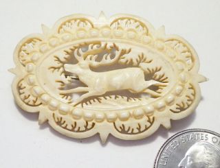 Stunning Antique Victorian Intricate Hand - Carved Bone Running Stag Deer Pin 2 "