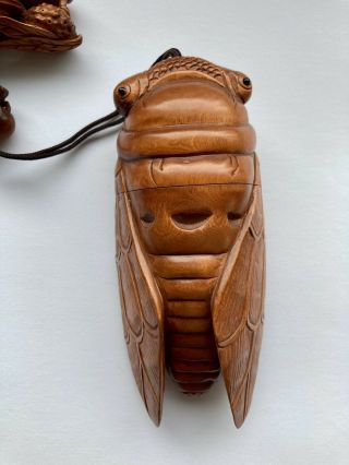 Boxwood Inro Box Netsuke Hand Carved Cicadas Leaf Signed Estate 2