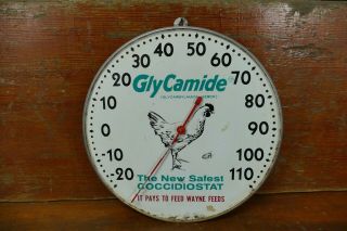 Vintage 1950’s Wayne Feeds Chicken Glycamide Metal 10” Round Thermometer