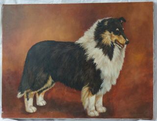 Marcia Van Woert Signed Canvas Painting Shetland Sheepdog Sheltie 1982