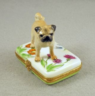 French Limoges Trinket Box Cute Pug Dog Puppy In Colorful Garden