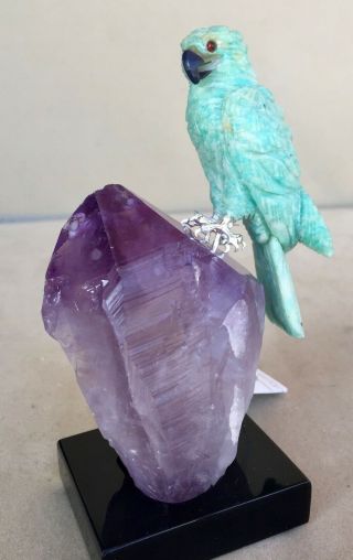 Amazonite Falcon On Amethyst Crystal 5  Peter Muller