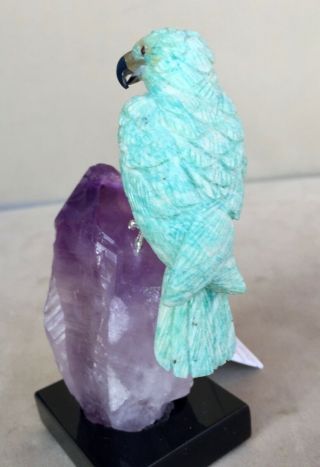 Amazonite Falcon on Amethyst Crystal 5  Peter Muller 4