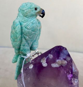 Amazonite Falcon on Amethyst Crystal 5  Peter Muller 5