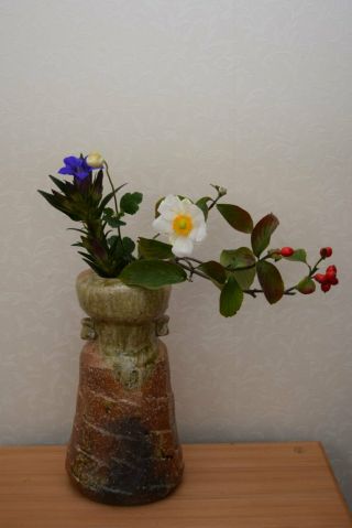 Japanese Shigaraki - ware Vase for Tea Ceremony and Ikebana by SUGIMOTO Zuiho 237 3
