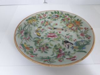 Antique 19thc Chinese Jiaqing Famille Rose Hand Enamelled Celadon Plate