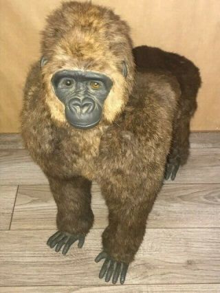 Vintage Taxidermy Gorilla Realistic Figure Real Fur Circus Carnival Prize Toy ?