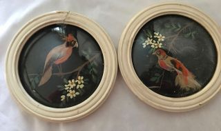2 Vintage Hand Painted & Feather Bird Round Bubble Glass Wood Frame Pictures