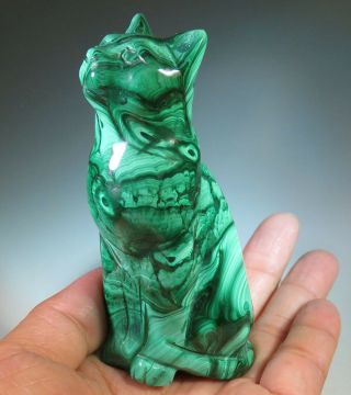 3.  5 " Natural Green Malachite Cat Crystal Carving Gemstone From Congo 6997
