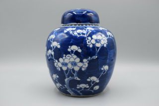 Chinese Blue And White Porcelain Prunus Hawthorn Ginger Jar Rare Zhongguo Zhi Za