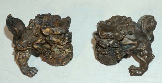Vtg.  Chinese/asian Bronze Feng Shui Foo Dogs/lions/beasts/guardians - Ward Off Evil