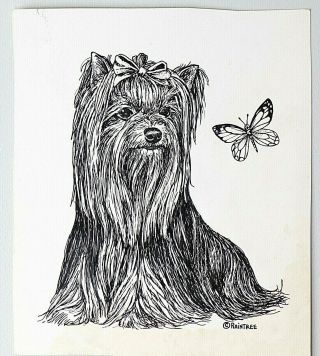 Marcia Van Woert Art Drawing Yorkie Yorkshire Terrier Dog Puppy Signed