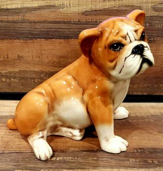 Gorgeous Porcelain Bulldog Dog Figurine Statue Signed By Danavi.  A Must Have❣