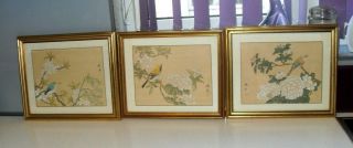 Vintage Set Of 3 Chinese Hand Painted Watercolour On Silk Signed And Framed