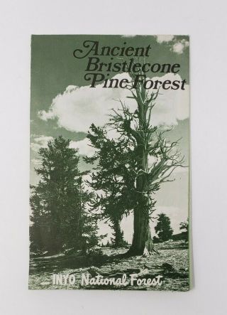 1977 Ancient Bristlecone Pine Forest Vintage Brochure - Us Forest Service - Inyo