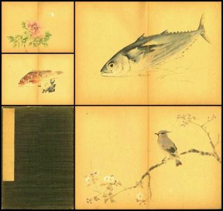 Fish & Flower Hand Drawn Illustrated Book Japanese Meiji Antique