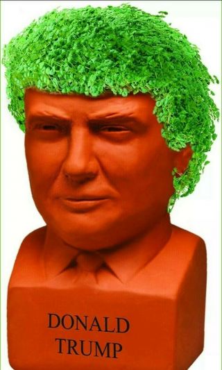 Chia Pet Freedom Of Choice Donald Trump Pottery Planter Fast