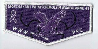 Boy Scout Oa 43 Woapalanne Lodge Purple Ribbon Pancreatic Cancer Awareness Flap