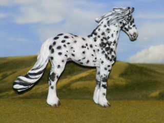 Ooak Breyer Cm Custom Friesian Horse Mini X D.  Williams Leopard Appy