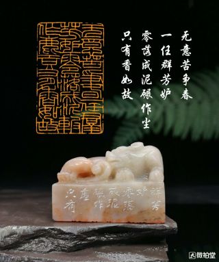 Chinese Stone Hand Carved Seal Stamp 无意苦争春 一任群芳妒 零落成泥碾作尘 只有香如故