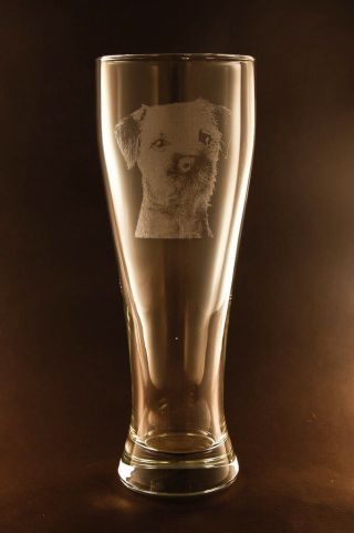 Etched Border Terrier On Pilsner Beer Glasses - Set Of 2
