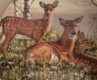 “SPRING TWINS” Plate - Friends of the Forest - Bruce Miller - Deer - Doe & Fawns - Danbury 3