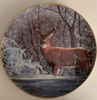 “winter Whitetail” Plate - Friends Of The Forest - Bruce Miller - Deer - Buck - Danbury
