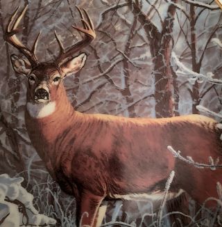 “WINTER WHITETAIL” Plate - Friends of the Forest - Bruce Miller - Deer - Buck - Danbury 3