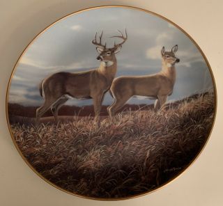 “autumn Hillside” Plate - Friends Of The Forest - Bruce Miller - Deer - Buck & Doe - 8”