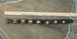 22 " Vintage 7 Brass Horse Cow Sleigh Bells On Leather Strap Graduated 1 - 7 Vgc