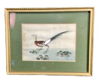 Antique Chinese Water Fowl Painting On Rice (pith) Paper Framed Early