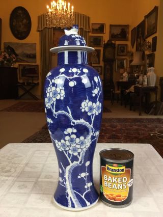 15’tall Vintage Double Ring Chinese Porcelain Blue White Prunus Lidded Urn Vase