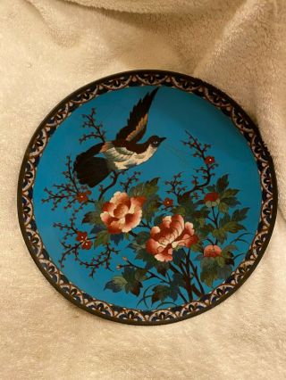 Antique 19th Century Japanese Meiji Period Cloisonne Charger