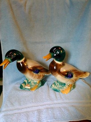 Vintage Royal Winsor Mallard Duck Figurines Set Of 2