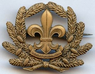 Sweden Swedish Scout Union Pin Badge Grade