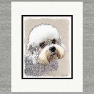 Dandie Dinmont Terrier Art Print 8x10 Matted To 11x14