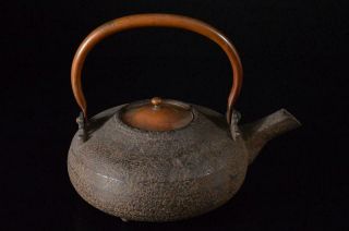 X6468: Japanese Old Iron Shapely Tea Kettle Teapot Tetsubin Tea Ceremony