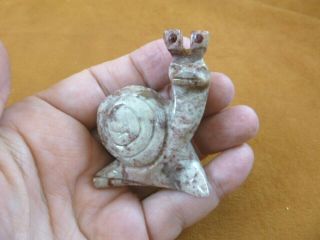 (y - Snai - 410) Gray Red Racer Snail Gastropod Gem Stone Carving Soapstone Peru