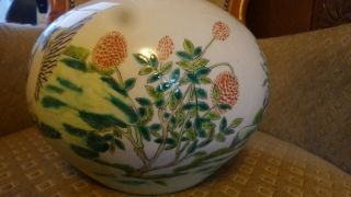 Chinese Celadon bottle Vase.  With Birds and flowers pattern.  12 inches high. 2