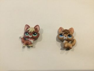 Lps Foxes 2 Pc,  Comes With Collar