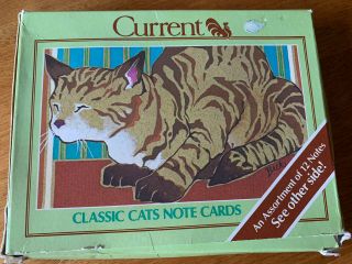 Current Classic Cats Note Cards Set Of 12