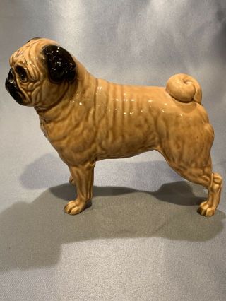 Vintage Ceramic Porcelain Fawn Pug Dog Figurine Shafford Japan 163,  6.  5” X 7.  5”