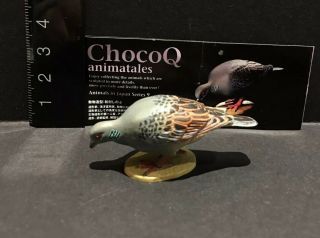 Kaiyodo Animatales Choco Q Series 9 Rufous Turtle Dove Bird Figure