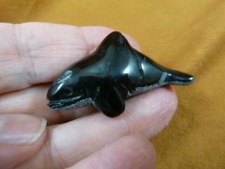 Y - Wha - Ki - 561) Little Baby Black Onyx Killer Whale Orca Gemstone Carving Whales