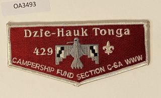 Boy Scout Oa 429 Dzie - Hauk Tonga C - 6a Section Campership Fund Flap