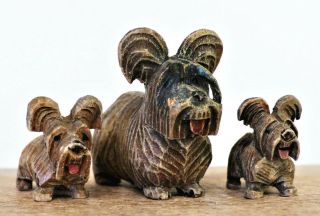 Vintage Set Wood Carvings Dog Carved Skye Terrier Mom & Pups Anri? 1