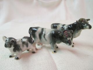 Vintage Miniature 3 Bone China Figurines Black & White Cows Family