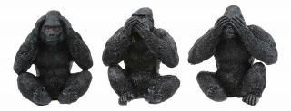 Ebros See Hear Speak No Evil Silverback Gorillas Figurine 3 " Height Set Of 3